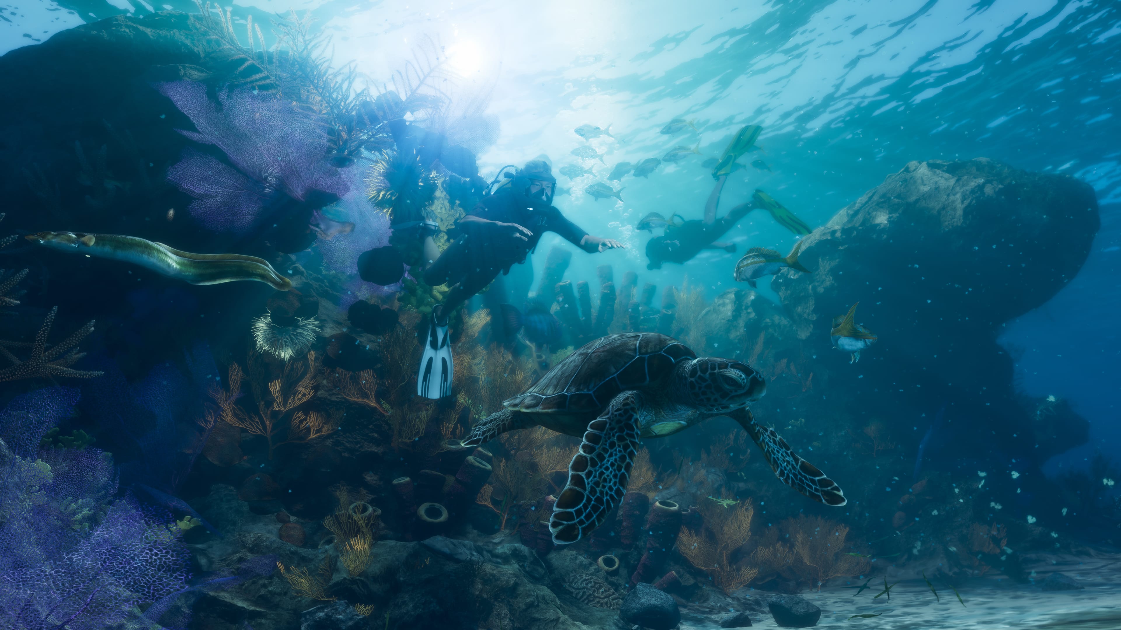 GTA 6 wildlife ocean