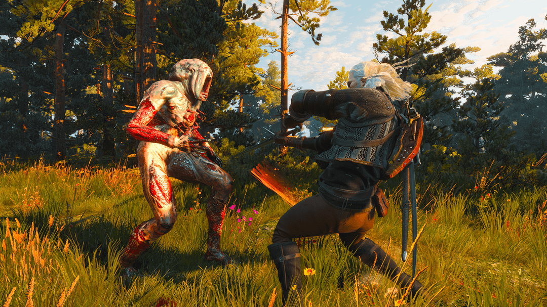 کرون‌های ولن در باتلاق‌های The Witcher 3